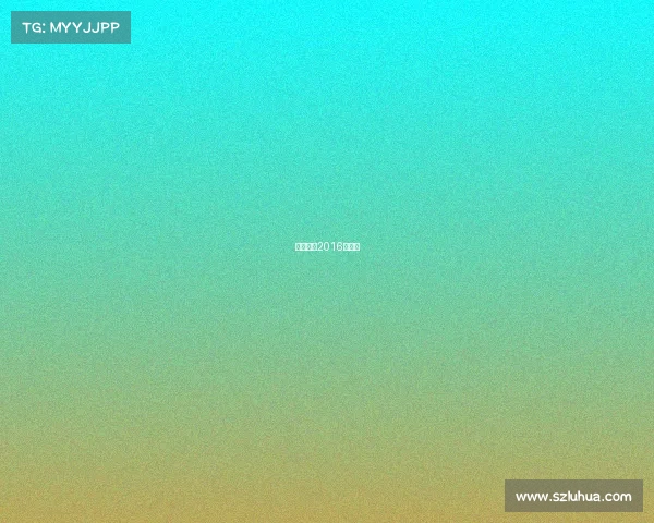 中国女排2016年战绩